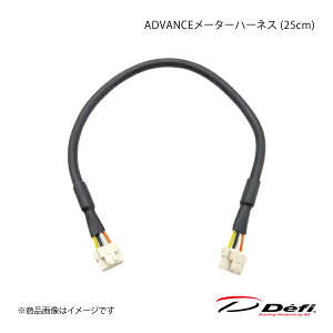 Defi ftB ADVANCE[^[n[lX (25cm) PDF07707H
