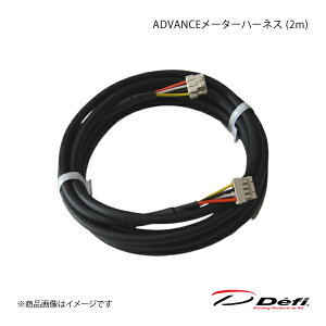 Defi ftB ADVANCE[^[n[lX (2m) PDF07710H