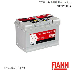 FIAMM/tBA TITANIUM ԃobe[ RENAULT MEGANE 2 BM0/1 CM0/1 2.0dCi 2005.09 L3B 71P LBN3 7905153