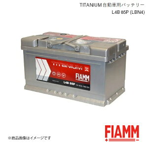 FIAMM/tBA TITANIUM ԃobe[ BMW 3V[Y Touring E91 320d 2004.12 L4B 85P LBN4 7905158
