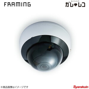 FRAMING t[~O KER 128GBizCgj 1920 x 1080iő摜j tSDJ[hgpŖ10Ԙ^\ EX-2121G1+SD