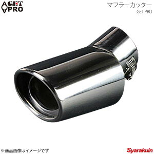 GET-PRO Qbgv }t[Jb^[ ėp^Cv Vo[ ͂˂ GTPAX8264