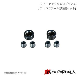 IKEYA FORMULA CPtH[~ AEibNsubV AEA[(2Zbg) NE JZS17# IFAP05002