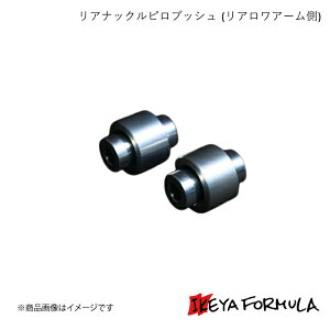 IKEYA FORMULA �C�P���t�H�[�~���� ���A�i�b�N���s���u�b�V��(���A�����A�[����) BRZ ZD8 IFAP05003