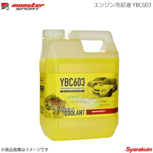 MONSTER SPORT X^[X|[c GWpt YBC603 2L ZZEL01