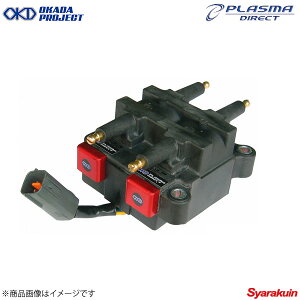 OKADAPROJECTS IJ_vWFNc vY}_CNg tHX^[ SF5