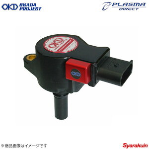 OKADAPROJECTS �I�J�_�v���W�F�N�c �v���Y�}�_�C���N�g C300 W204