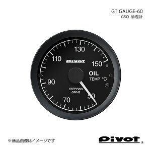 pivot s{bg GT GAUGE-60 v60 GSO