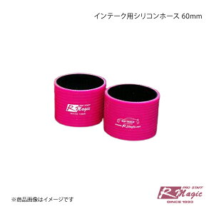 R-Magic �A�[���}�W�b�N �C���e�[�N�p�V���R���z�[�X 60mm BRZ