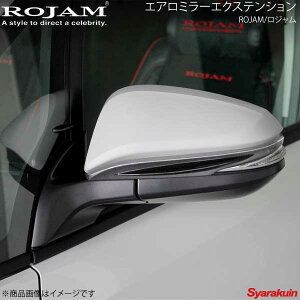 ROJAM W GA~[GNXeV ABS h HNV[ ZRR8W 2014/1`2017/6 ROJAM 20-eme-000
