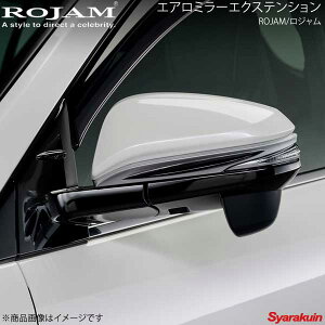 ROJAM W GA~[GNXeV ABShς(Vo[×ubN) mA ZRR8W 2014/1`2017/6 ROJAM 20-eme-001