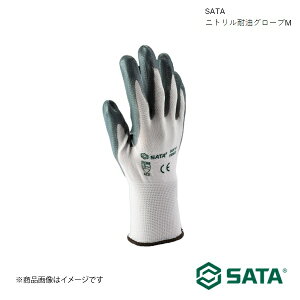 SATA T^ jgϖO[uM H c[   oCN ] FS-0402