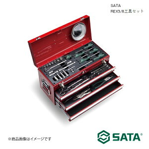 SATA T^ REX3/8HZbg H c[   oCN ] RS9587X