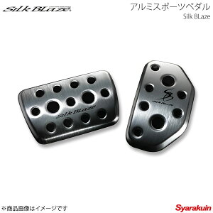 Silk Blaze VNuCY A~X|[cy_ GXN@CA ZRR/ZWR8# SB-ASP-80NV