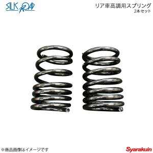 SilkRoad VN[h AԍpXvO(2{Zbg) GVI RR3/5 2WD