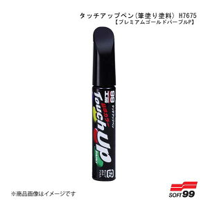 SOFT99/\tg99 ^b`Abvy(Mhh) H7675 yz_EPB85PEv~AS[hp[vPz 17675 JAN:4975759176756