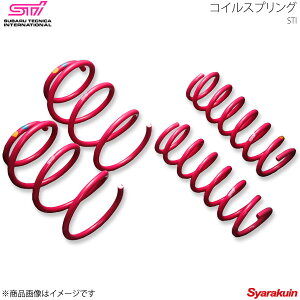 STI GXeB[AC RCXvO F 1{Pi KVBc[OS BR AvCh:A/B/C/D/E ST20330EZ000