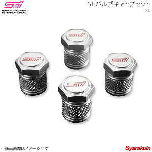 STI GXeB[AC STIouLbvZbg CvbT GE 4hA AvCh:B/C/D ST28102ST030