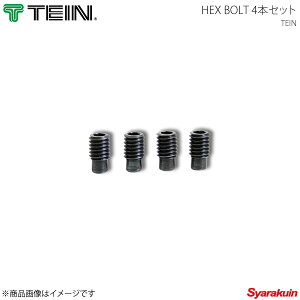 TEIN �e�C�� �d�������̓R���g���[�� EDFC2 Hex Bolt 4�{�Z�b�g SAP44-96367