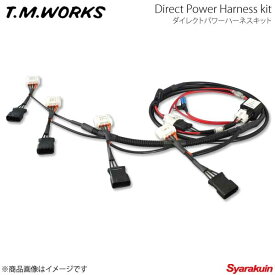 T.M.WORKS ダイレクトパワーハーネスキット プリウス ZVW50/ZVW51/ZVW51 1800cc 2ZR-FXE 15.11〜 DP1001