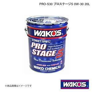 WAKO'S R[Y GWIC PRO-S30 vXe[WS 20L E226