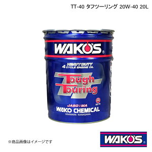 WAKO'S R[Y GWIC TT-40 ^tc[O 20L E266