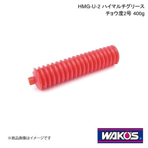 WAKO'S R[Y HMG-U-2 nC}`O[X `Ex2 400g 1P[X(50) M520