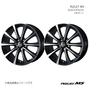 RIZLEY MS Cc[ GGX }[NXWI 10n A~zC[ 2{Zbg 0041646×2y16×6.5J 5-114.3 INSET40 BKPz