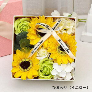 ̓ \[vt[  Ό  t[\[v  ̓Mtg J[l[V [Y CeA v[g  a hV̓ Cxg   j Ǝ 