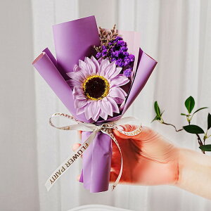 ~ju[P ̓ J[l[V \[vt[ tOX ԑ 1 Ђ܂ Tt[ u[P ͂Ȃ   Ό v[g Mtg a 蕨 LO o^