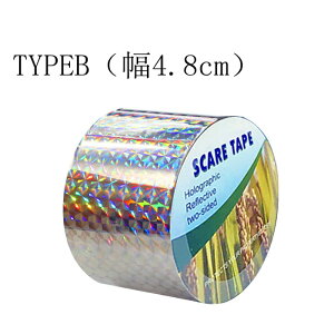 悯e[v  e[v 50m LLe[v 悯 JX悯 炷 JX΍ Q΍ 쏜 h ݂艺  K[f t ؉ ʎ c O ΍ Ƃ悯  