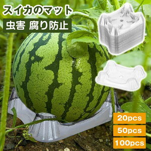 XCJ̃}bg ʕ̉~ vX`bN ͔| XCJ J{` p\ |t[ ynɗ Q h~ T|[gx[X XCJT|[g ͔|p