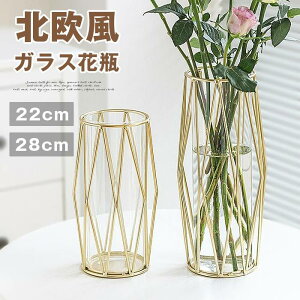 t[x[X ԕr S[h a10cm 22cm 28cm  KX k CeAG  킢 傫  Vv  Ԃт CeA rO Q    k 