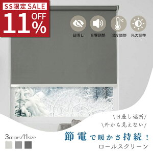 SS 11%OFFyM𓦂Ȃz[XN[ [J[e ۉ ΍ iՌ1 ՔM fM ډB O猩Ȃ Ԏd؂ h k  VvfUC q 