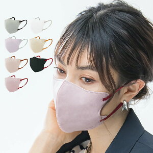 マスク 不織布 立体 3Dマスク 立体マスク バイカラー マスク不織布 バイカラーマスク 血色マスク 小顔マスク マスク おしゃれ 10枚 送料無料 マスク