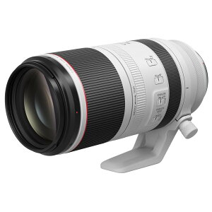 RF100-500mm F4.5-7.1 L IS USM Lm Y