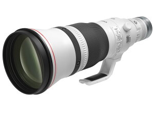 RF600mm F4 L IS USM Lm Y