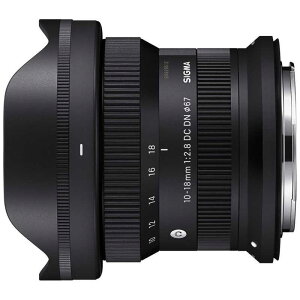 10-18mm F2.8 DC DN [LmRFp] VO} Y