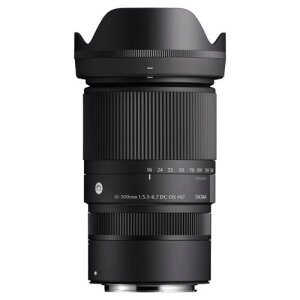 16-300mm F3.5-6.7 DC OS [LmRFp] VO} Y