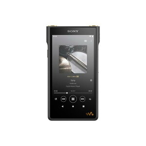 NW-WM1AM2 [128GB] SONY WALKMAN WM1 fW^I[fBIv[[