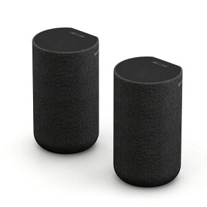 SA-RS5 [�y�A] SONY �X�s�[�J�[