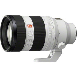 FE 50-150mm F2 GM SEL50150GM �\�j�[ ���������Y