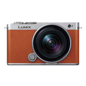 LUMIX DC-S9N-D �L�p�Y�[�������Y�L�b�g [�L�������I�����W] �p�i�\�j�b�N LUMIX S �f�W�^����჌�t�J����