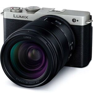 LUMIX DC-S9H-S {Y[YLbg [_[NVo[] pi\jbN fW^჌tJ