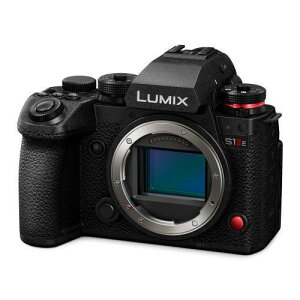 LUMIX DC-S1M2ES {fB pi\jbN fW^჌tJ