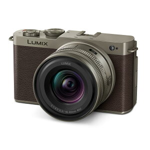 LUMIX DC-S9N-N �L�p�Y�[�������Y�L�b�g [�`�^���S�[���h] �p�i�\�j�b�N �f�W�^����჌�t�J����