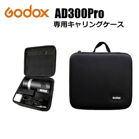 日本正規代理店品　ゴドックス GODOX AD300pro 持ち運びケース　キャリングケース