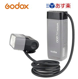 日本正規代理店品 Godox EC200 AD200 AD200Pro 対応 リモート ホットシュー　エクステンションフラッシュヘッド、ポータブルオフカメラライトランプ