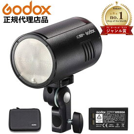 ＼正規代理店品 ジャンル賞受賞 ／GODOX AD100pro 2025年最新版 365日発送 延長保証有 39ショップ PSE 取得商品 マゼランフィルター照明 ライト 持ち運びケース付き ポータブルポケットフラッシュ ゴドックス モノブロック 日本語説明書付