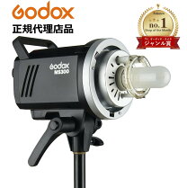 楽天市場】godox sk300iiの通販